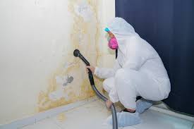 Best Industrial Mold Remediation  in Lakeview, NY